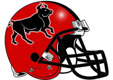 Bulls Fantasy Football Helmet Logo