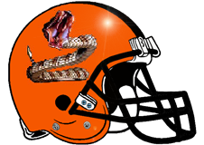 Diamondbacks Fantasy Football Helmet Logo