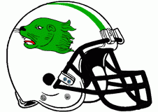 green-otter-football-helmet