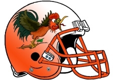 wild-rooster-fantasy-football-helmet