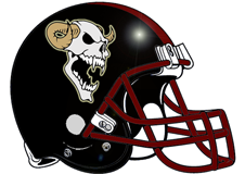 animal-skull-fantasy-football-helmet