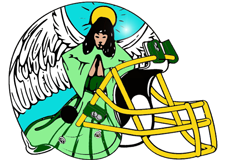 angels-fantasy-football-team-helmet