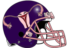 fighting-fallopian-tubes-fantasy-football-team-logo