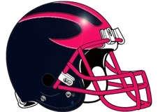 michigan-navy-pink-fantasy-football-helmet-logo