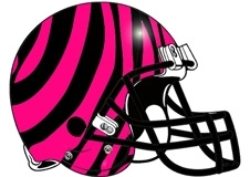 pink-zebra-stripes-fantasy-football