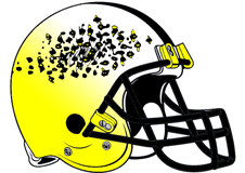 the-swarm-bees-fantasy-football-helmet