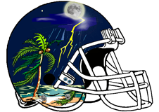 tropical-storm-fantasy-football-helmet